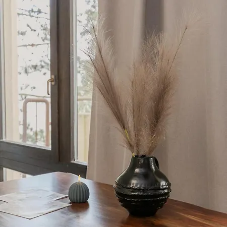 Apartmentsanlage Mit Komfortwohnungen Mit Kueche,wlan Und Kostenfreien Parkplaetzen Appartement Wiesbaden